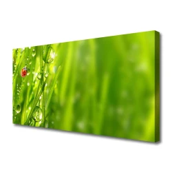 tulup.si Slika na platnu Grass pikapolonica narava 125x50 cm