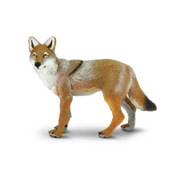 Safari Kojot