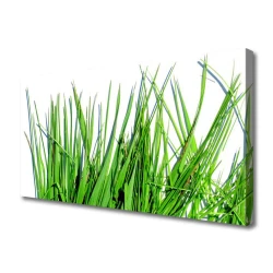 tulup.si Slika na platnu Grass on wall 140x70 cm