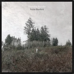 Damien Jurado - Saint Bartlett (LP)