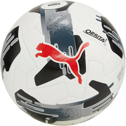Žoga Puma Orbita 2 TB (FIFA Quality Pro)