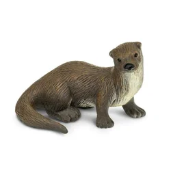 Safari Vidra