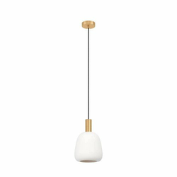 Eglo 900305 - Luster na sajli MANZANARES 1xE27/40W/230V