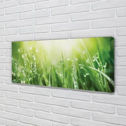tulup.si Slika na platnu Grass sonce kapljice 140x70 cm