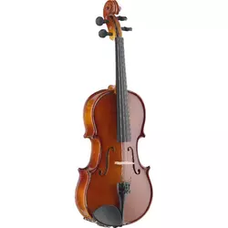 STAGG violina s kovčkom VN1/2