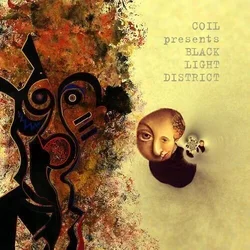 Coil Presents Black Light District - A Thousand Lights In A Darkened Room (Reissue) (2 LP)