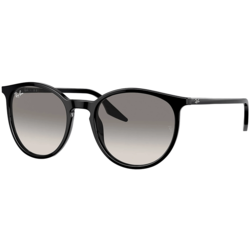 Ray-Ban Naočare za sunce RB 2204 901/32