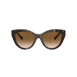 Tiffany Naočare za sunce TF 4220 801551