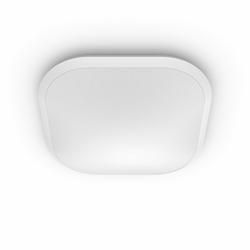 Philips 32810/31/P0 - LED prigušiva stropna svetiljka CANAVAL LED/18W/230V