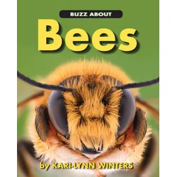 Buzz about Bees