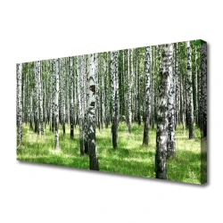 tulup.si Slika na platnu Forest grass nature rastlin 120x60 cm