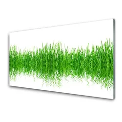 tulup.si Slika na steklu Grass nature rastlin 140x70 cm 2 obešalnika