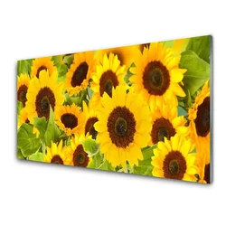 tulup.si Steklena slika Sončnice rastlin 100x50 cm 4 obešalnika