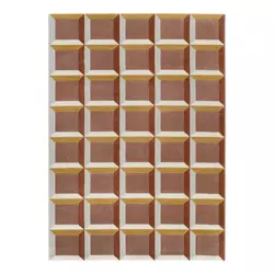 Preproga v barvi terakote 200x290 cm Amara – Universal