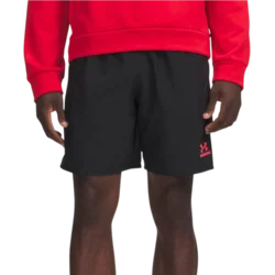 Under Armour Kratke hlače Tech Sport