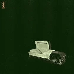 Holy Sons - Raw And Disfigured (Limited Edition) (2 LP)