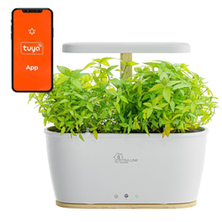 slomart extralink smart garden | inteligentna doniczka | wi-fi, bluetooth