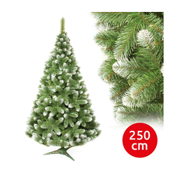 Novogodišnja jelka 250 cm, bor