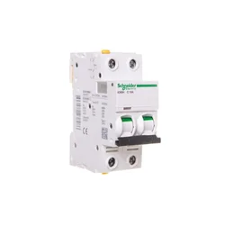 Schneider Odklopnik 2P C 10A 10kA AC iC60H-C10-2 Acti9 A9F07210