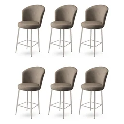 Hanah Home Set barskih stolica Fora, 6 komada, Bež