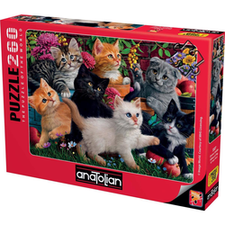 AnaTolian - Puzzle Kittens at Play 260 - 200 - 260 kosov