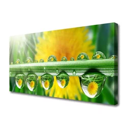 tulup.si Slika na platnu Stem dew drops rastlin 120x60 cm