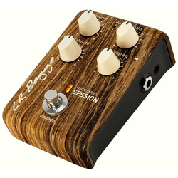 L.R. Baggs Align Reverb