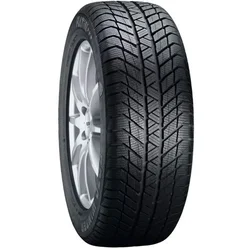 Platin RP 70 Winter ( 175/65 R15 84T )