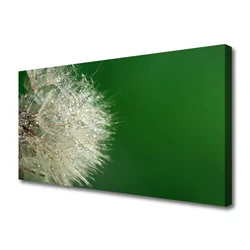 tulup.si Slika na platnu Dandelion rastlin 125x50 cm
