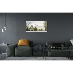 tulup.si Slika na akrilnem steklu Wolf zimski gozd 100x50 cm 2 obešalnika
