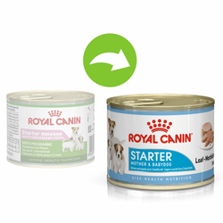 12x195g Royal Canin Starter Mousse Mother & Babydog hrana za pse