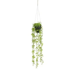 Dekordom 1083464 Cvet u saksiji eucalyptus 54cm - green - edl ( 040439 )