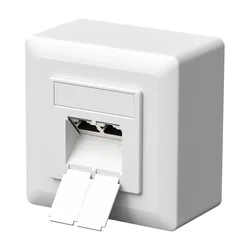 FGB CAT6a mrežna vtičnica z dvema RJ45 priključkoma 10 Gbit/s