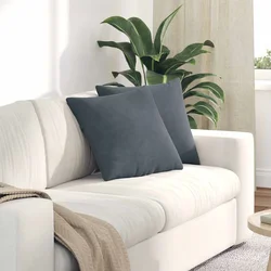 Jastučići za sofu 2 pcs Tamno siva 45 x 45 cm Kordura tekstil