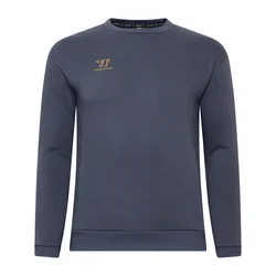 Moški pulover Warrior Aurum Sweater Grey XL