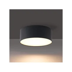 Brilagi - LED plafonsko svetlo za kupatilo FORIS LED/14W/230V prečnik 12 cm crno IP44