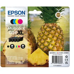 EPS Epson Multipack 4-barvne 604XL črnila
