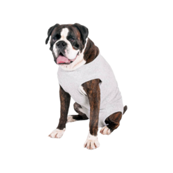 Karlie Body Suit for Dogs L:52 cm 80 % Cotton 20 % Polyester Washable at 30°C Grey 1030559