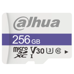 C100 MicroSDHC 256GB U1 DHI-TF-C100/256GB
