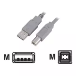 HAMA USB kabl za štampač 29100