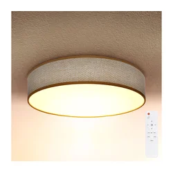 Brilagi - LED prigušiva plafonska svetiljka CARMEN LED/48W/230V 3000-6500K + daljinski upravljač