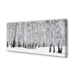 tulup.si Slika na platnu Zimske breze 140x70 cm