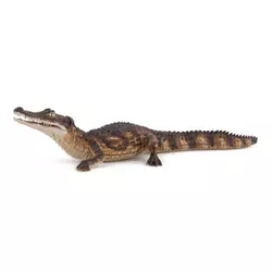 Kajman