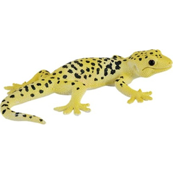 Moj Gekon Leopardí
