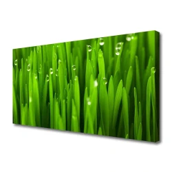 tulup.si Slika na platnu Grass nature rastlin 100x50 cm
