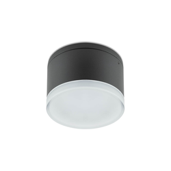 Redo 90107 - LED spoljno plafonsko svetlo AKRON LED/9W/230V IP54