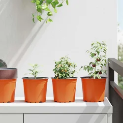 Lonac za cvijeće 200 pcs Terakota O 15 x 13 cm Plastika