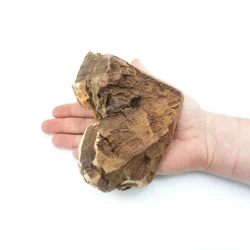 shumee Žvečljive tablete Briar Root za pse, velikost L
