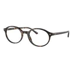 Ray-Ban RX5429 2012