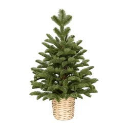 Novogodisnja jelka u saksiji zelena 90cm 250311